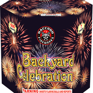 Backyard Celebration